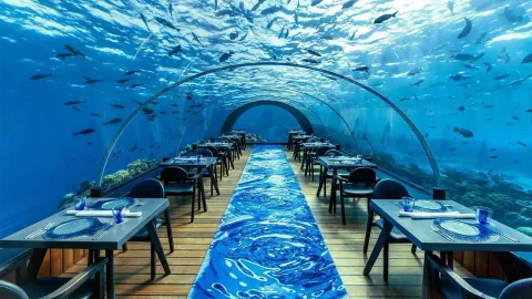Discover Underwater Dining Resorts: Overview, Basics, Facts, and Helpful Resources