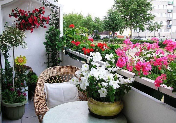 Small Space Gardening Ideas: Complete Information, Gardening Facts, and Guidance