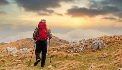 Mountain Trekking Overview: Learn Key Details, Expert Suggestions, and Safety Insights
